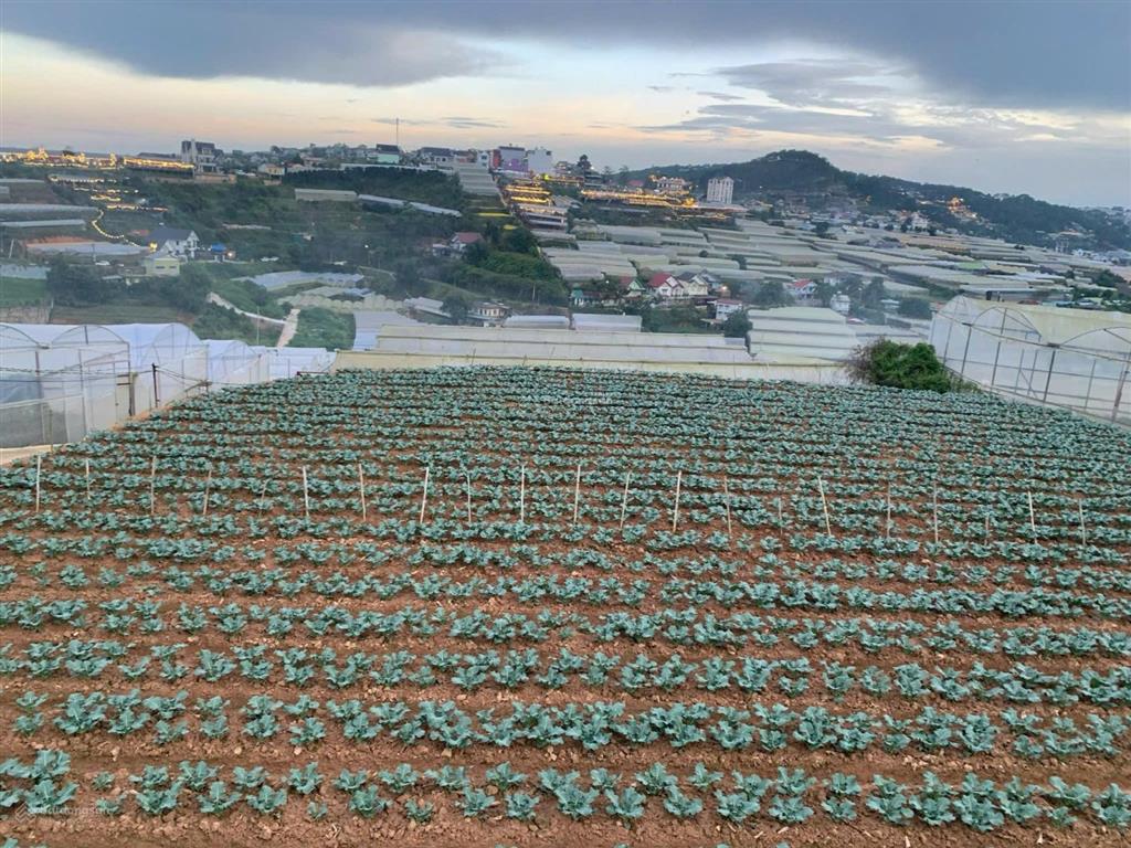 Bán đất đẹp tại gần hồ bơi thái bình dương, gần khu du lịch trạm ký ức giá 9 triệu / m2, 765 m2