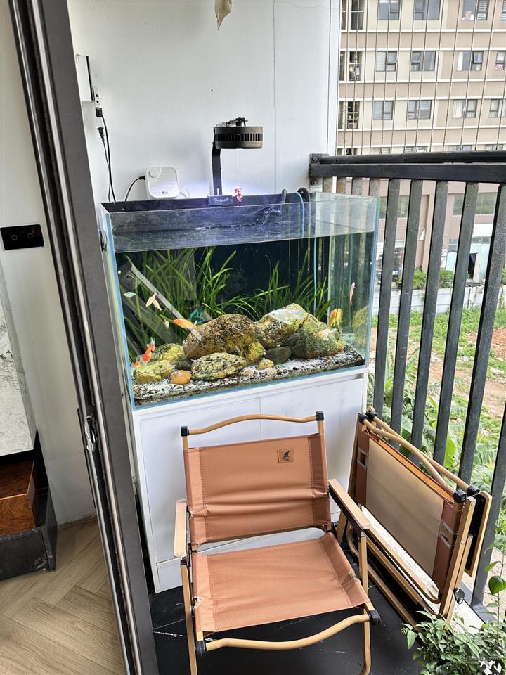 Nhà mình chuyển xuống nhà đất cho thuê căn hộ 3 pngủ full đồ cao cấp xuân mai spark giá rẻ ảnh thật