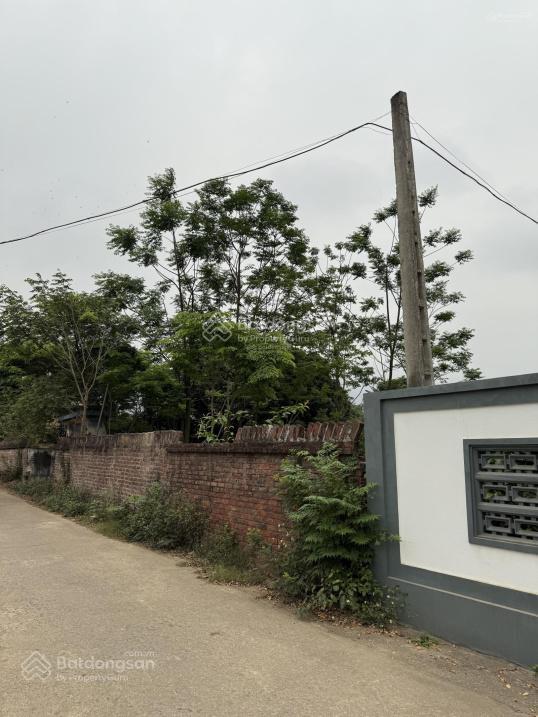 Chính chủ bán 198m đất gò gạo sóc sơn, đất kd ô tô đỗ, xã minh trí, sổ đỏ chính chủ. giá 16tr/m