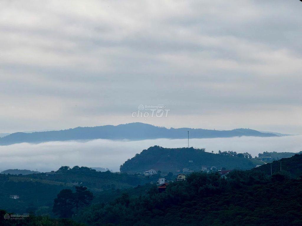 344m2 đất Nam Ban, ven Đà Lạt sẵn 100m2 thổ, cách đường nhựa lớn 70m