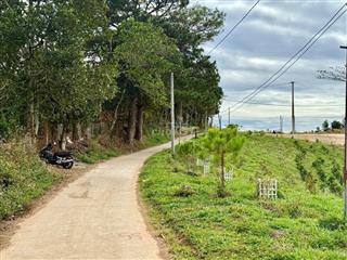 344m2 đất Nam Ban, ven Đà Lạt sẵn 100m2 thổ, cách đường nhựa lớn 70m