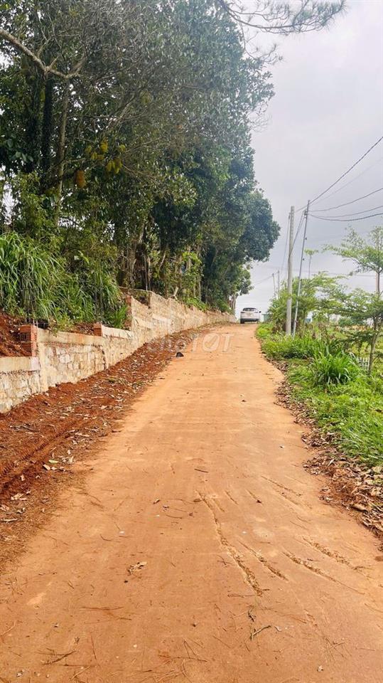 344m2 đất Nam Ban, ven Đà Lạt sẵn 100m2 thổ, cách đường nhựa lớn 70m