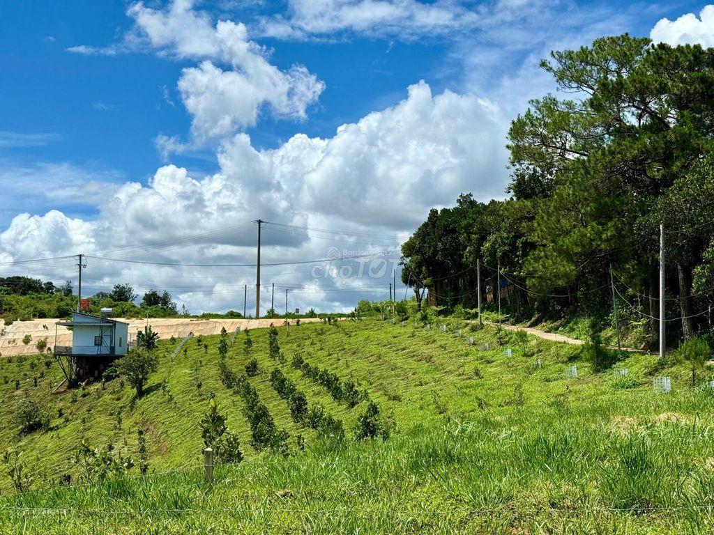 344m2 đất Nam Ban, ven Đà Lạt sẵn 100m2 thổ, cách đường nhựa lớn 70m