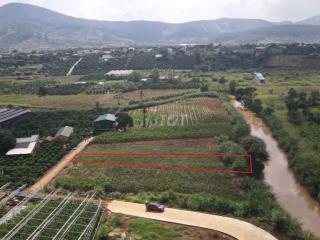 630m2 ĐẤT NAM BAN VEN ĐÀ LẠT SẴN 75M2 THỔ CƯ, SHR, CÓ SUỐI CUỐI ĐẤT