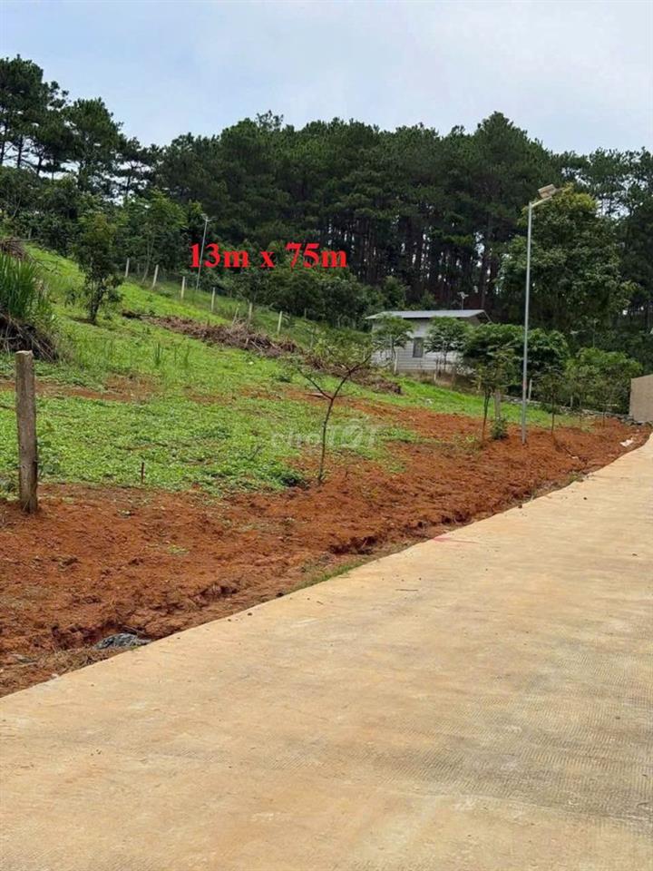 1.000m2 ĐẤT NAM BAN -VEN ĐÀ LẠT CẠNH RỪNG THÔNG 700TR(FULL), ĐƯỜNG LỚN