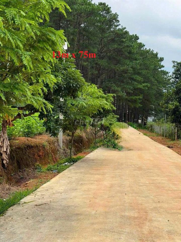 1.000m2 ĐẤT NAM BAN -VEN ĐÀ LẠT CẠNH RỪNG THÔNG 700TR(FULL), ĐƯỜNG LỚN