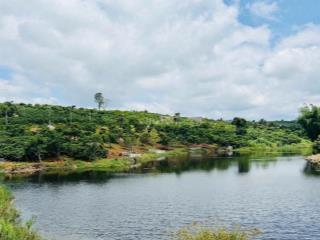 1.000M2 ĐẤT VIEW HỒ NAM BAN - VEN ĐÀ LẠT, SẴN 150M2 THỔ CƯ, CHỈ 1TY650