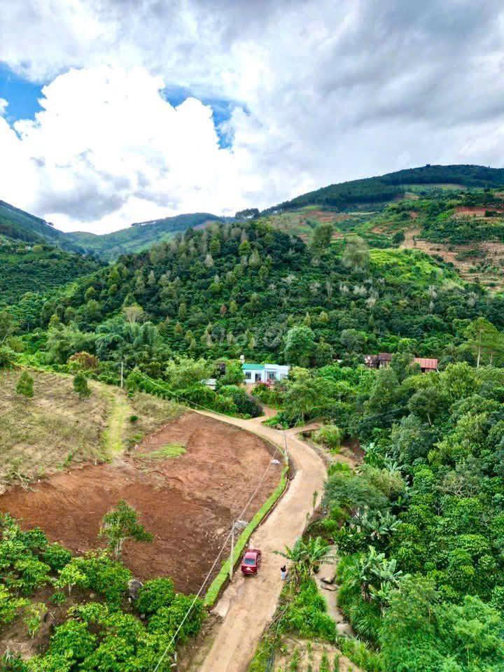 15Om2 - 45O TRIỆU LÔ ĐẤT VEN ĐÀ LẠT – MÊ LINH CŨ (NAY LÀ XÃ NAM BAN)