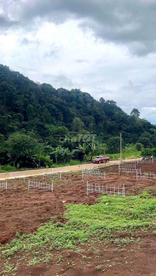 15Om2 - 45O TRIỆU LÔ ĐẤT VEN ĐÀ LẠT – MÊ LINH CŨ (NAY LÀ XÃ NAM BAN)