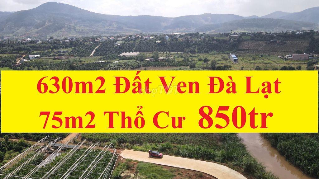 630m2 Đất Trung Tâm Nam Ban-Ven Đà Lạt Chỉ 850Tr, Có Suối Tại Đất, Thổ