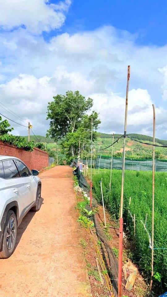 200m2 Đất Nam Ban-Ven Đà Lạt chỉ 58OTr, Sẵn 100m2 Thổ, Đường Lớn , SHR