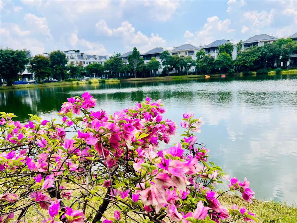 Kẹt tiền chính chủ cần bán gấp nhà phố lakeview city dt 5x20m giá cực hót 1 căn hiếm có giá 18,5 tỷ