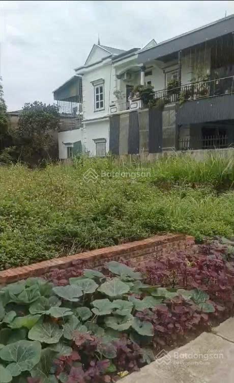 Bán đất minh phú sóc sơn, 80m², đường xe tải tránh tránh, oto đỗ cửa, giá 3.9 tỷ