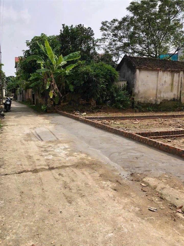 Bán đất thôn yên ninh, hiền ninh (nay xã nội bài), dt 81m2, mt 4.5m, full thổ cư, ô tô vào đất