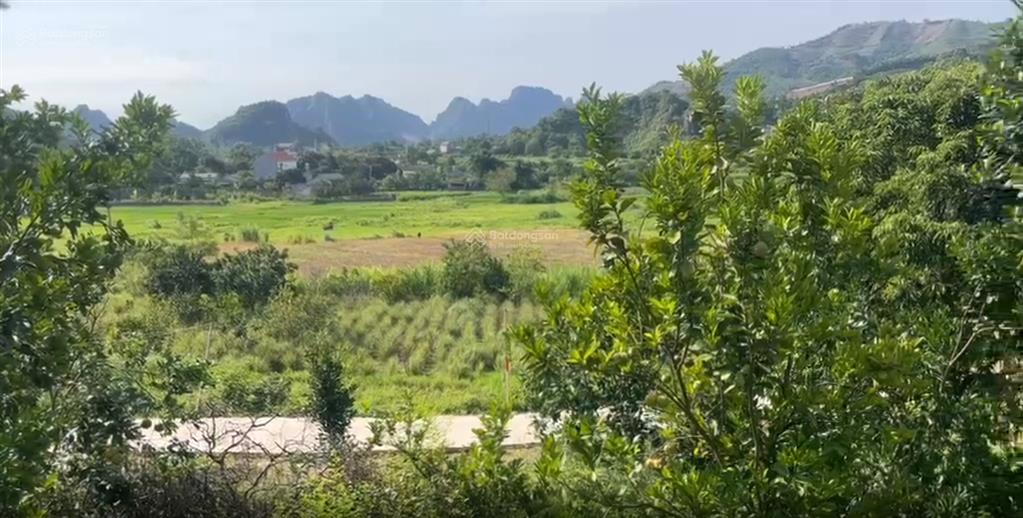 Chính chủ chuyển nhượng mảnh đất ven đô nhỏ tiền, view cực kỳ thoáng đẹp