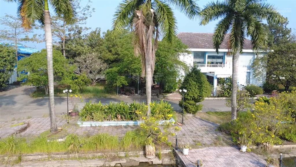 Cần bán nhà xưởng bạch đằng 2,5ha ( 25.000m2 ) đường võ văn bích  tân thạnh đông  củ chi