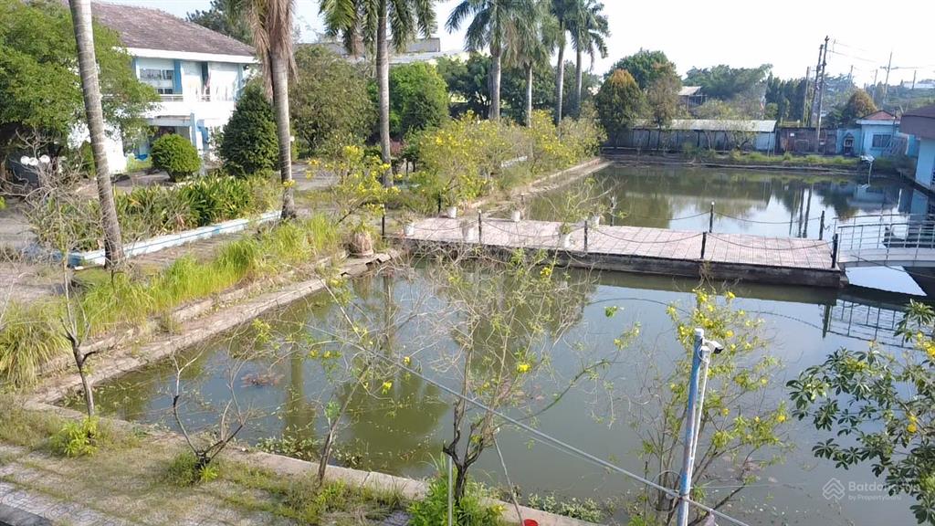 Cần bán nhà xưởng bạch đằng 2,5ha ( 25.000m2 ) đường võ văn bích  tân thạnh đông  củ chi