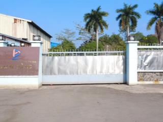 Cần bán nhà xưởng bia bạch đằng 2,5ha ( 25.000m2 ) đường võ văn bích  tân thạnh đông  củ chi