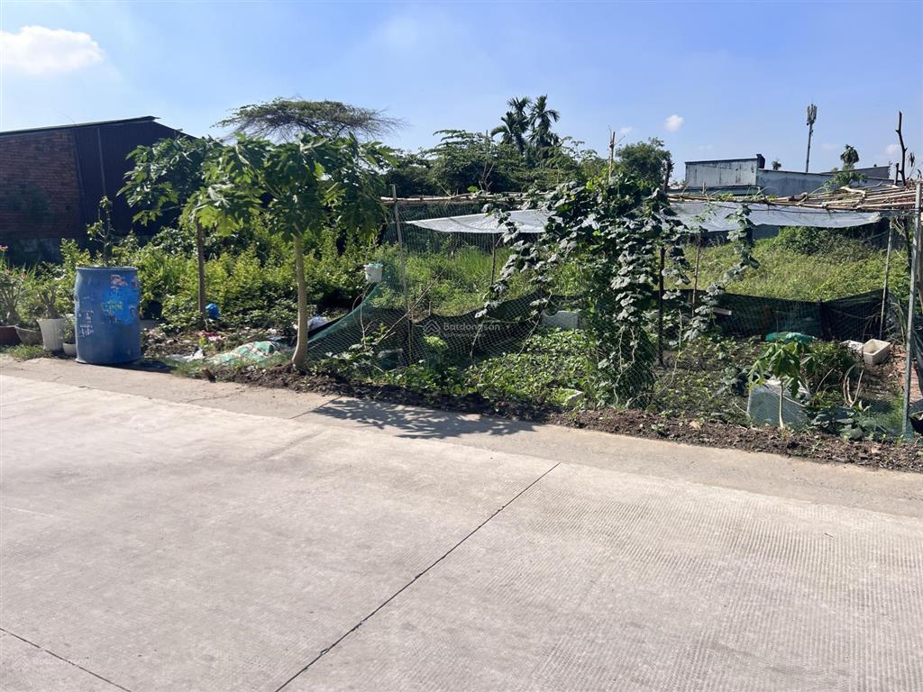 Bán đất mặt tiền đường 174  cách hà duy phiên 50m  đất full thổ cư, khu dân cư hiện hữu