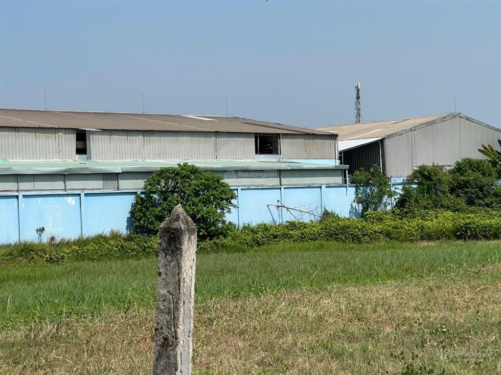 Bán nhà xưởng 5.559m2 mặt tiền tỉnh lộ 8  bình mỹ  củ chi