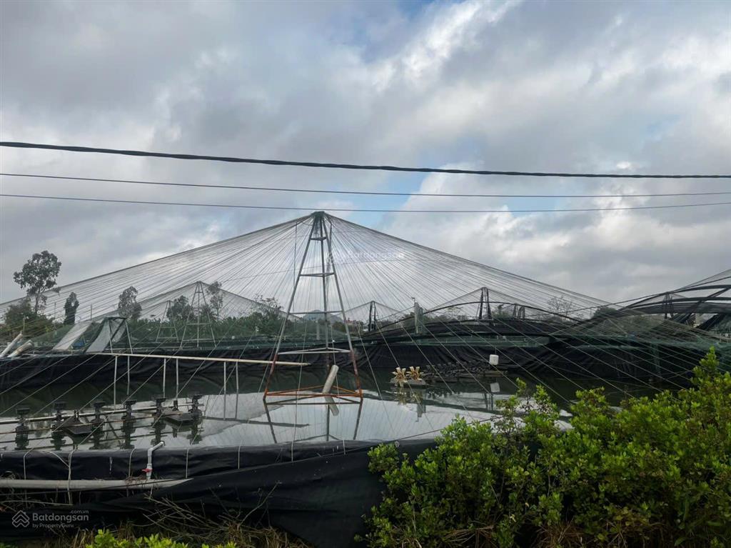 Chuyển nhượng trang trại tôm 3,2ha  nga sơn, thanh hóa. giá thương lượng