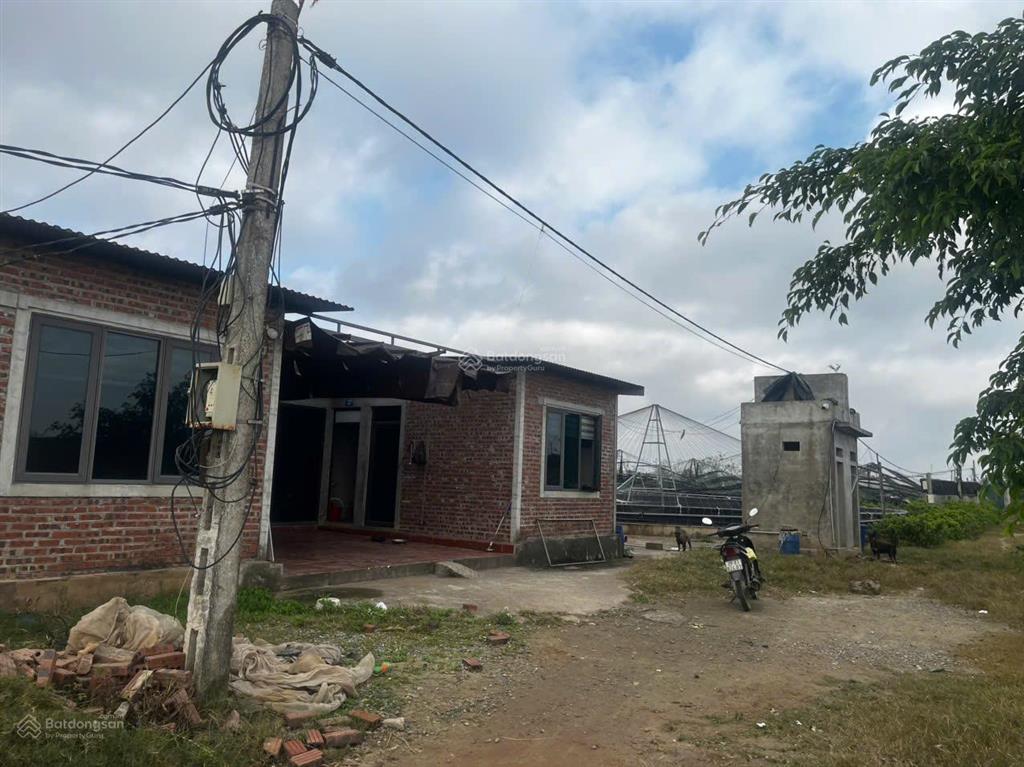 Chuyển nhượng trang trại tôm 3,2ha  nga sơn, thanh hóa. giá thương lượng