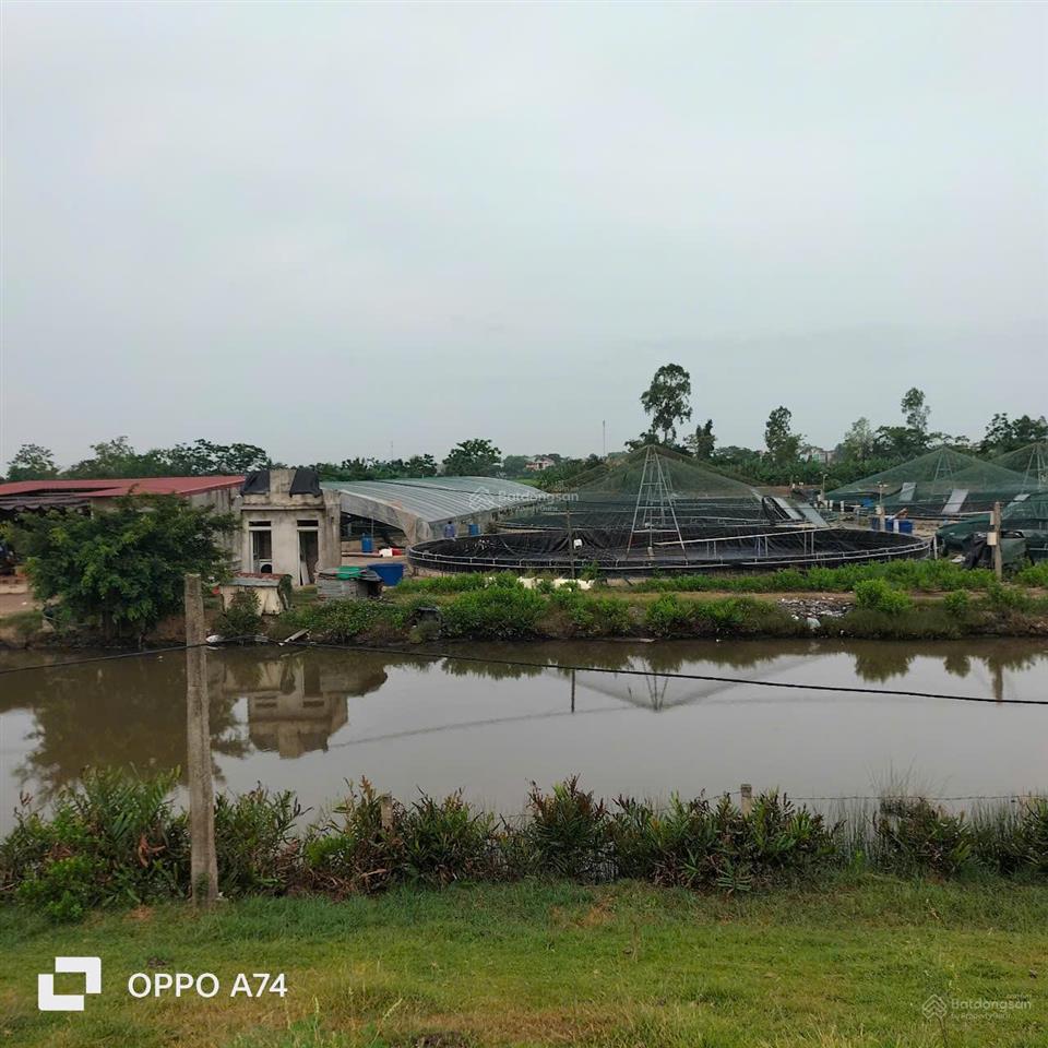 Chuyển nhượng trang trại tôm 3,2ha  nga sơn, thanh hóa. giá thương lượng