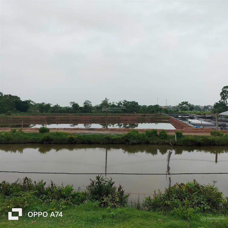 Chuyển nhượng trang trại tôm 3,2ha  nga sơn, thanh hóa. giá thương lượng