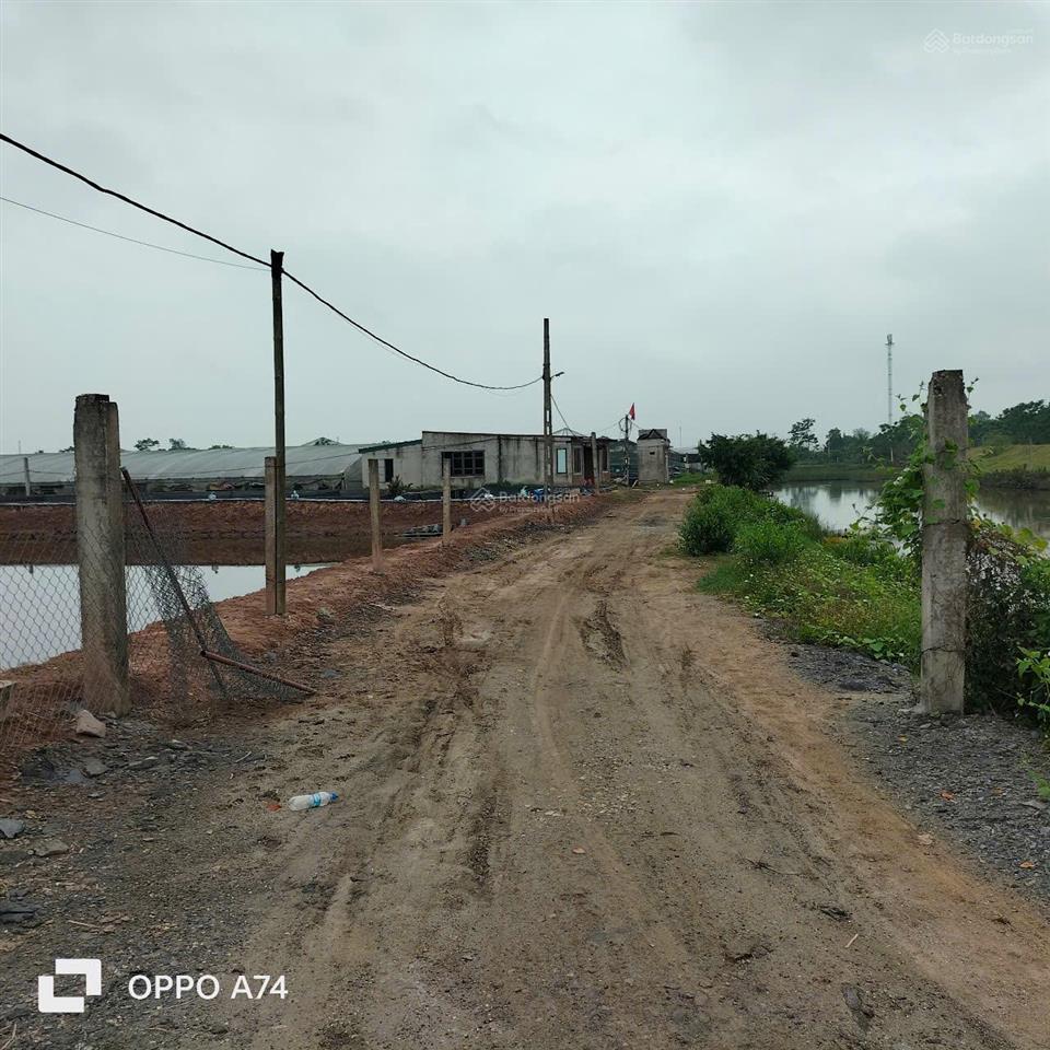 Chuyển nhượng trang trại tôm 3,2ha  nga sơn, thanh hóa. giá thương lượng