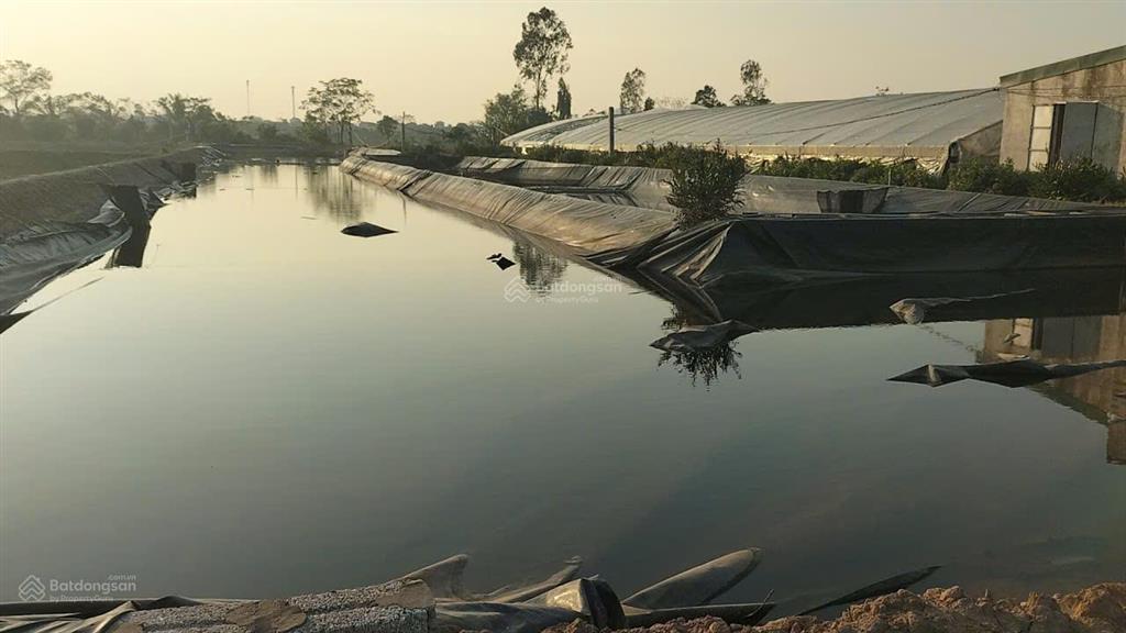 Chuyển nhượng trang trại tôm 3,2ha  nga sơn, thanh hóa. giá thương lượng