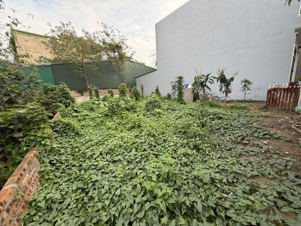 CẦN BÁN 238M ĐẤT-BÁT KHỐI GIA LÂM-LÔ GÓC-VIEW HỒ-MẶT TIỀN RỘNG-MẶT NGÕ ÔTÔ TRÁNH