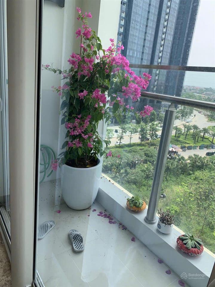 Căn hộ 3pn hiện đại trẻ trung, view đẹp tại kđt ciputra đáng sống