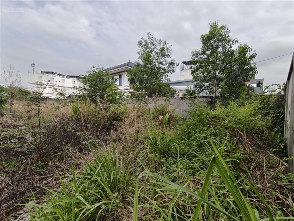 *cho thuê đất thổ cư*1600m2 gần hoàng hữu nam, phường long bình, quận 9.