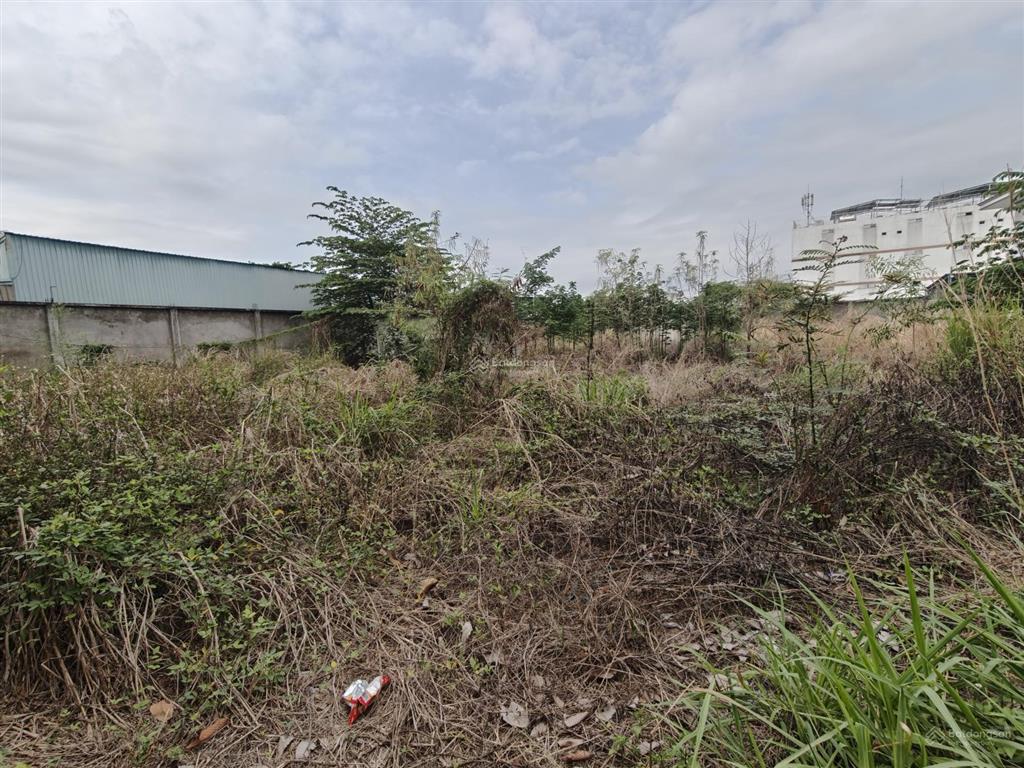 *cho thuê đất thổ cư*1600m2 gần hoàng hữu nam, phường long bình, quận 9.