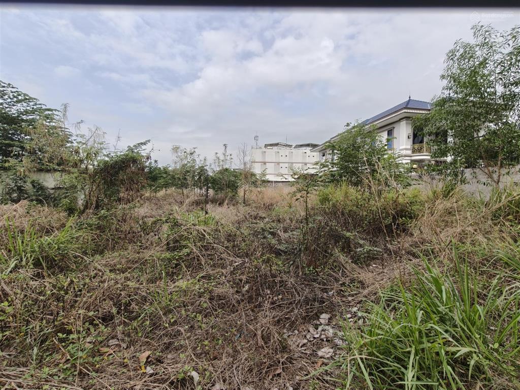 *cho thuê đất thổ cư*1600m2 gần hoàng hữu nam, phường long bình, quận 9.