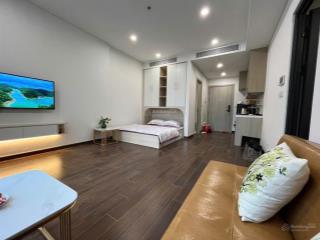 Bán cc masteri west heights tây mỗ toà c, dt 30.07m, 1pn, 1wc, đầy đủ nt