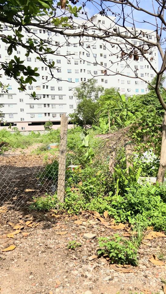 218.2m2 full thổ cư đất hẻm xe hơi  nở hậu khủng 11.65m  giá chỉ 45 tr/m2