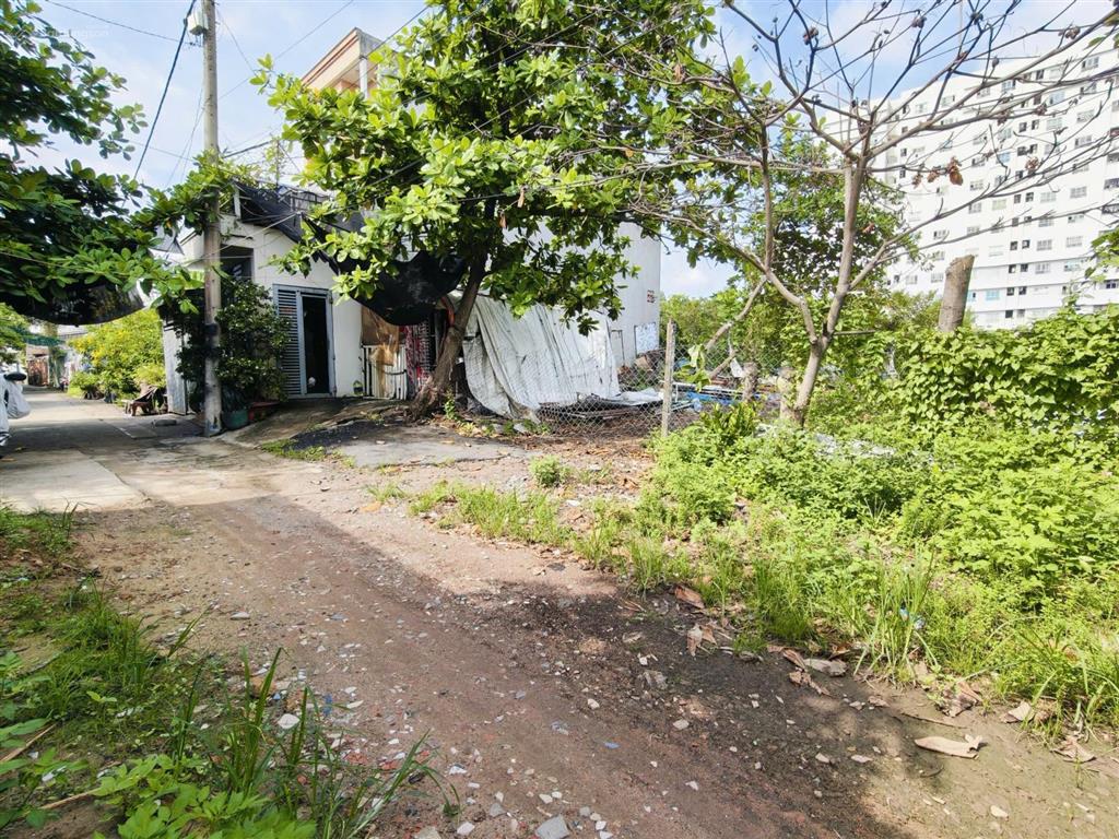218.2m2 full thổ cư đất hẻm xe hơi  nở hậu khủng 11.65m  giá chỉ 45 tr/m2