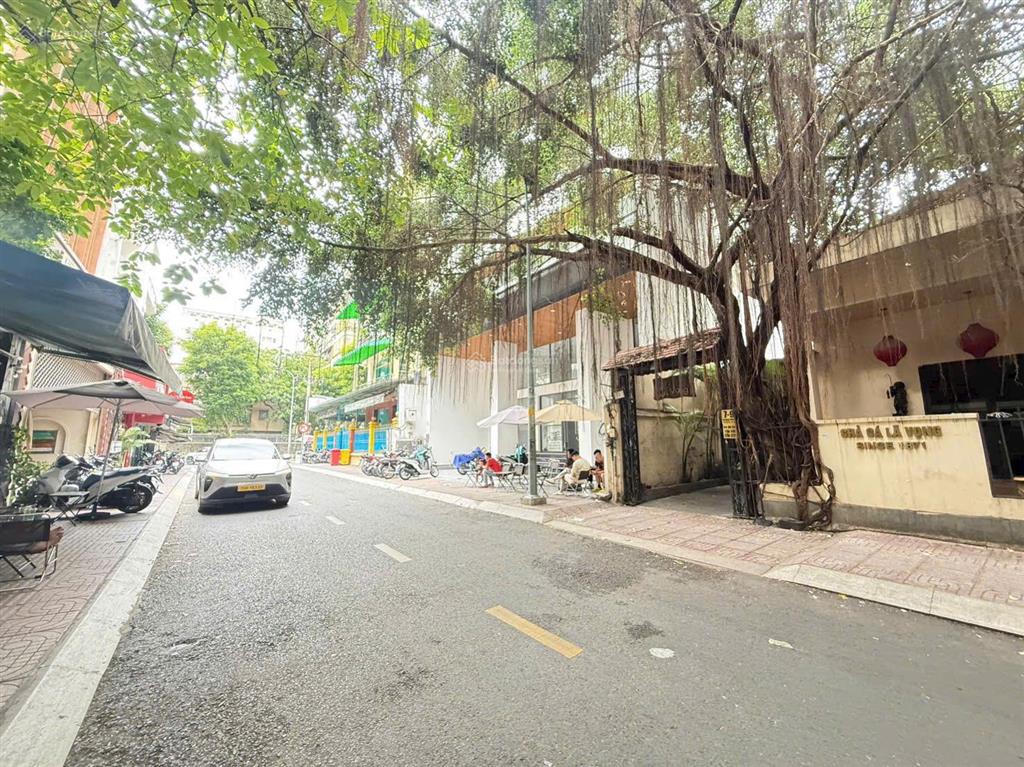 Cho thuê biệt thự số 7  9 hồ xuân hương, phường võ thị sáu, quận 3, hồ chí minh