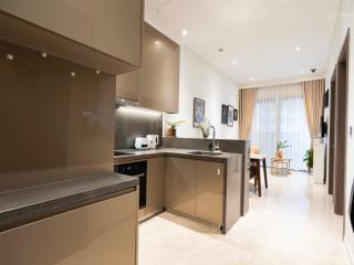 Bán căn hộ terra royal, q.3, 58m2, 2pn, full nội thất, đã có sổ hồng, 6.5 tỷ,  0903 833 ***