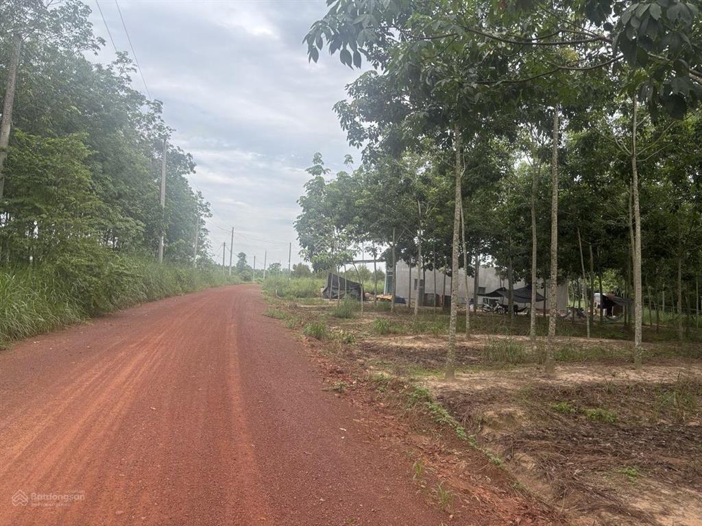 Chính chủ kẹt tiền cần bán nhanh lô đất đường sỏi đỏ (năm nay lên nhựa, xây cầu) tại long hòa, hcm