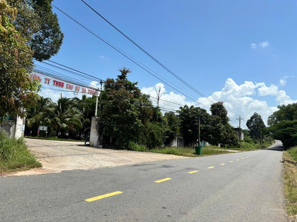 Chính chủ cần bán nhanh lô đất mặt tiền đường dt 744, định an, dầu tiếng, tp. hcm