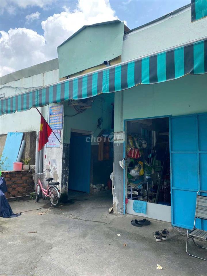 Cho thuê giá SV trần não bờ sông 