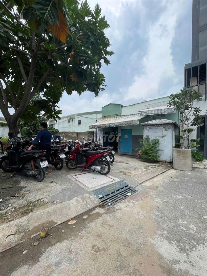 Cho thuê giá SV trần não bờ sông 