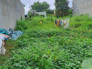 Đất cách khu du lịch đại nam 2 phút, mặt đường ô tô ra vào thoải mái kinh doanh được liền 125m2 shr