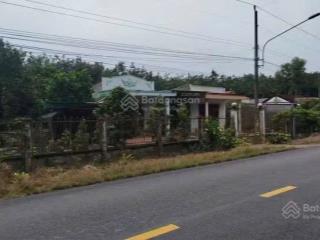 Đất mặt tiền ngay dh516 450m2 phù hợp làm xưởng sổ sẵn đi ra kcn bàu bàng chỉ 5p sẵn 100m2 thổ cư