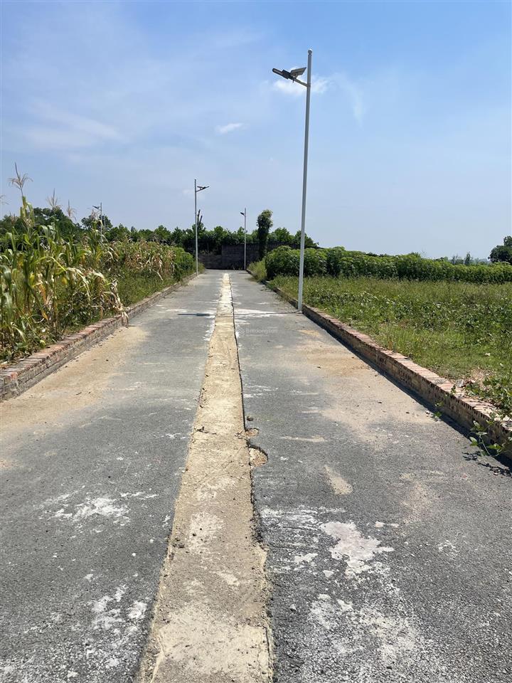 Bán đất tại xã ba trại, 650 triệu vnd, 100m2, giá ưu đãi hot!