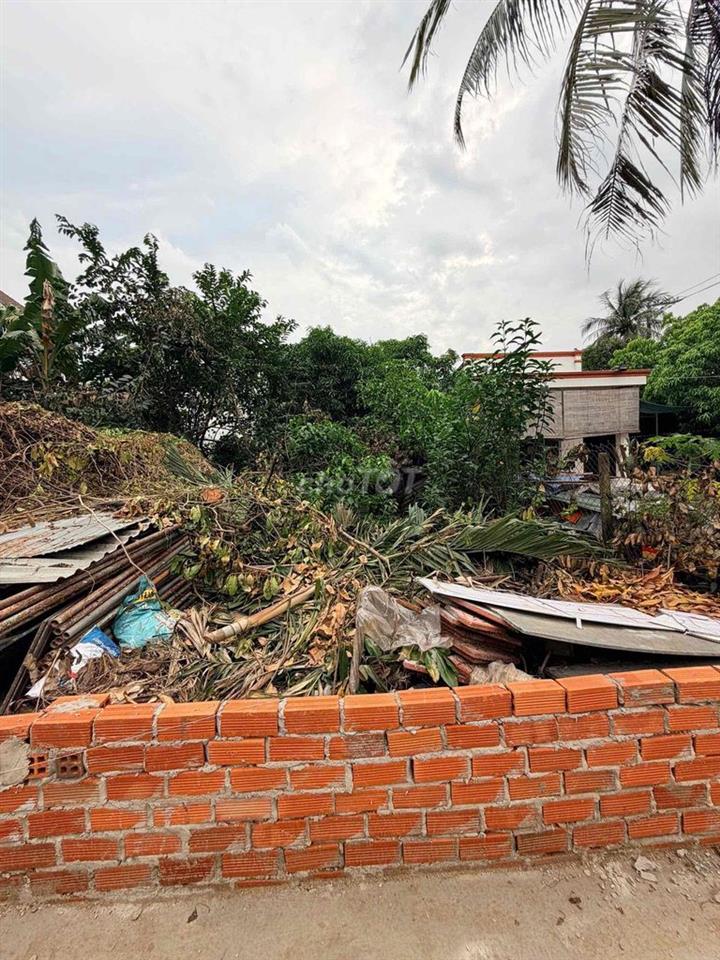 🏡 BÁN ĐẤT HẺM VƯỜN LÀI – NGANG 8M, DÀI 20M.
