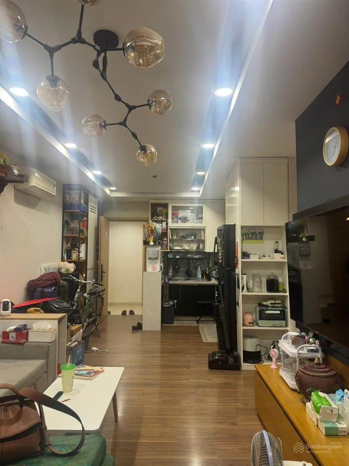Cho thuê cc đẹp xuất sắc tại mone nam sài gòn, 14 triệu, 69m2 full nội thất, lầu đẹp view thoáng.