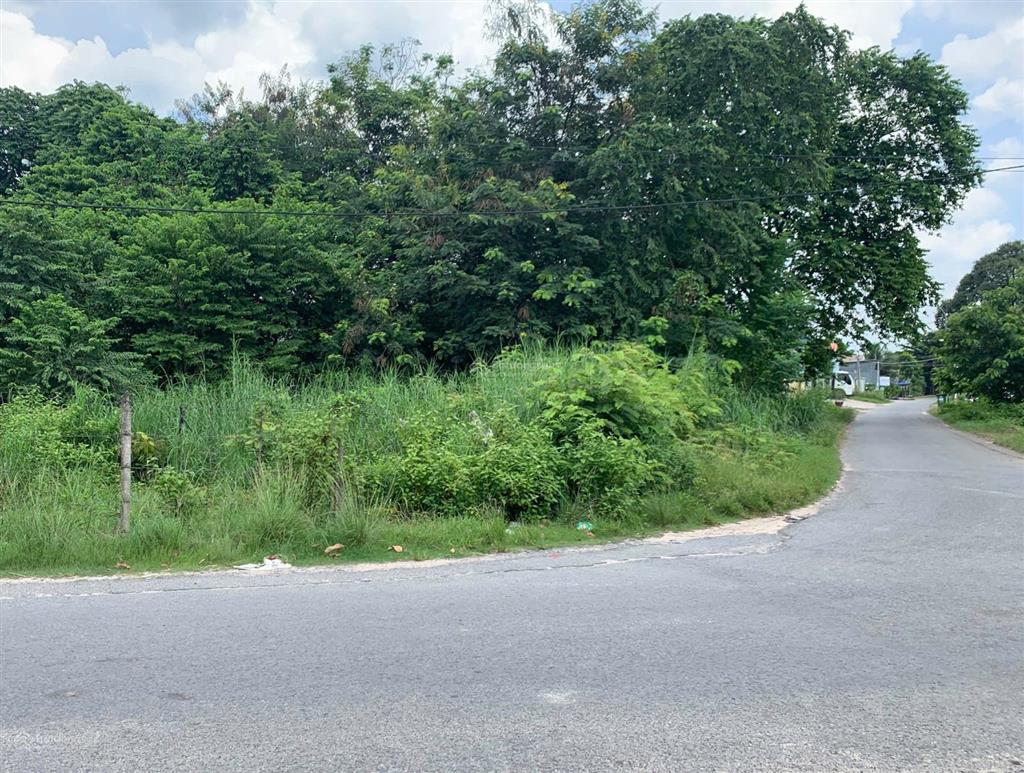 Gia đình cần bán nhanh miếng đất 295m2 góc 2 mt đường liêu bình hương, tân thông hội , củ chi